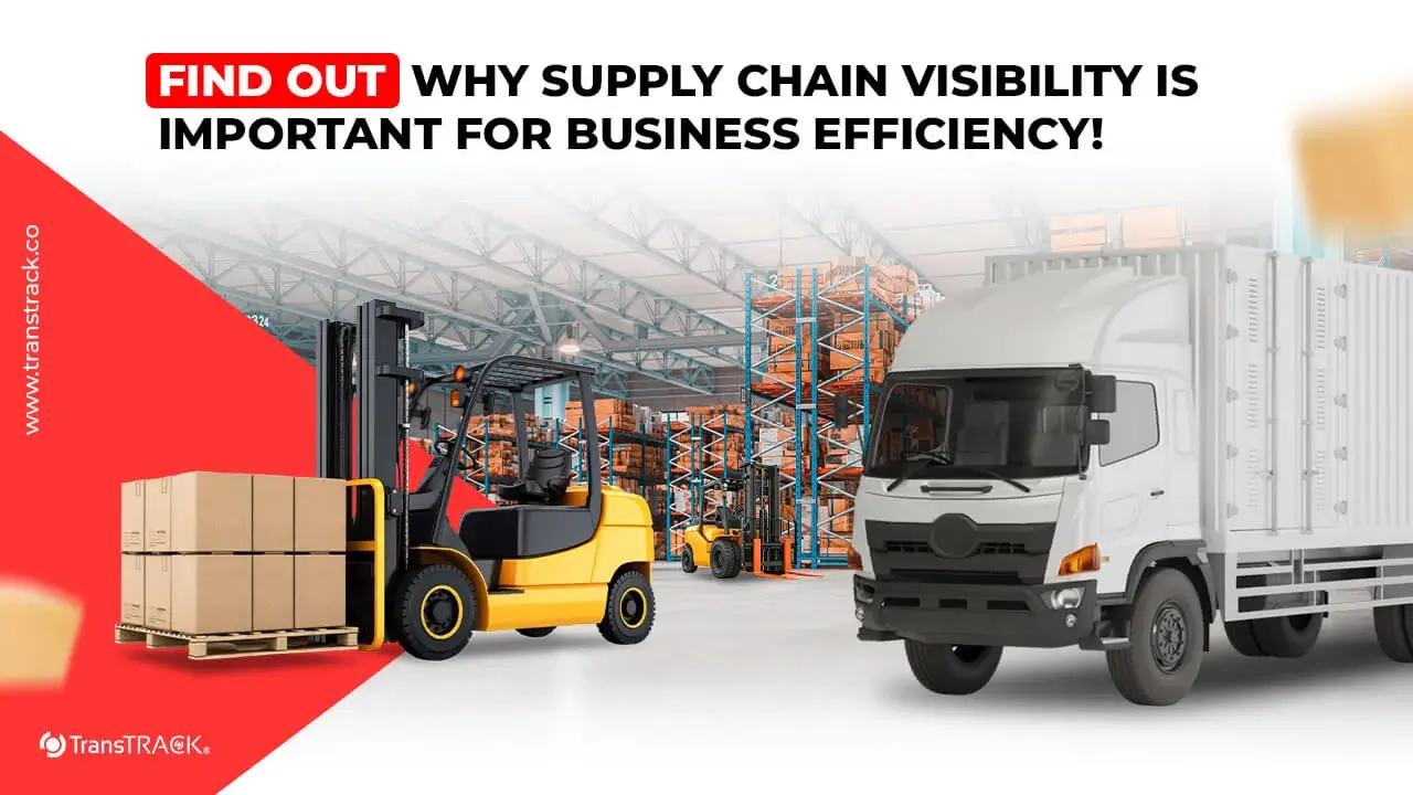Supply Chain Visibility