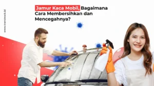 Jamur-Kaca-Mobil