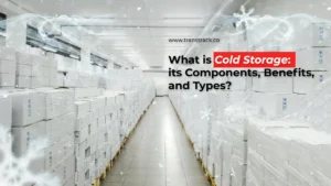 Cold Storage