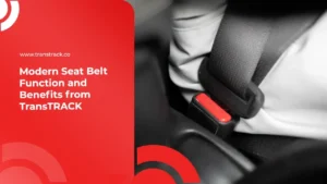 Seat Belt Function